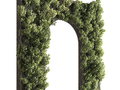 绿植墙 现代植物拱门 绿植墙