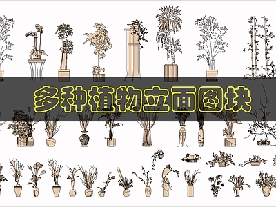 现代综合植物图库 室内绿植图块 施工图