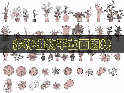 现代综合植物图库 植物图库 施工图