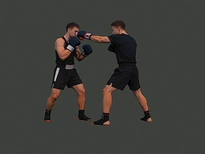 多人 拳击 搏击