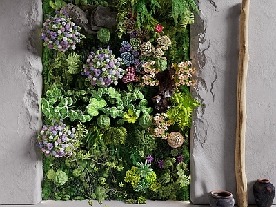 绿植墙 绿植墙 植物墙 植物造景 破损墙