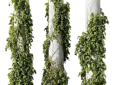 现代柱子 现代植物柱子 绿植柱子 爬墙虎