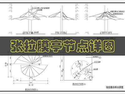 钢结构 张拉膜 施工图