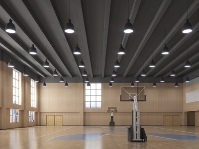 现代室内篮球场 体育馆