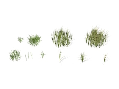 草 草