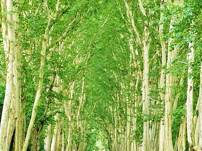 现代街道外景 人行道 道路 商业街外景