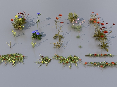 花草组合 花草植物