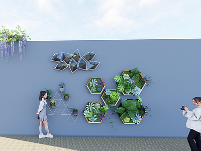 现代简约其他景观小品 墙面绿植装饰 软化绿植装饰