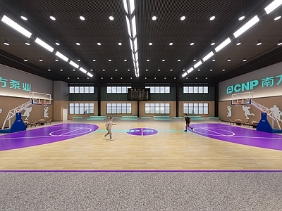 现代新中式篮球场 室内篮球场 室内羽毛球