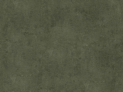 现代粗纹皮革 绿色粗纹皮革