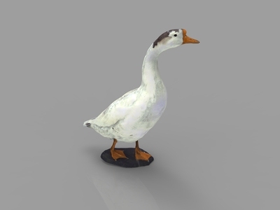现代大鹅