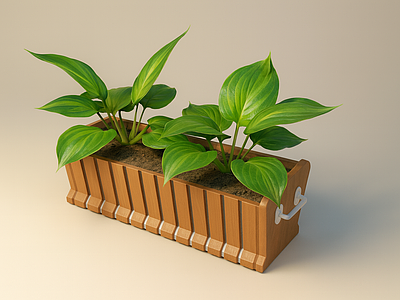 植物组合 盆栽组合 花箱 植物 植物箱 花盆
