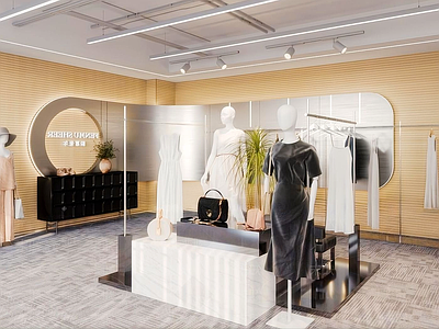 现代服装店 现代轻奢服装店 女装店 鞋店
