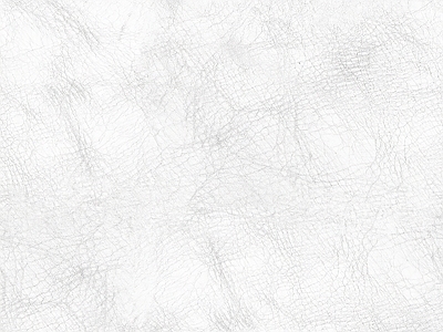现代粗纹皮革 白色粗纹皮革