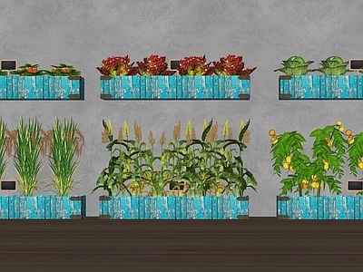 水果蔬菜 蔬菜 瓜果蔬菜 农产农田