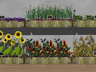 水果蔬菜 蔬菜 田园菜地 瓜果蔬菜 农产农田 水果