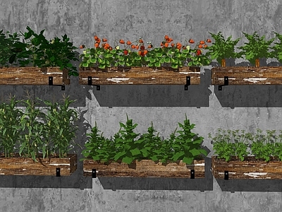 水果蔬菜 蔬菜 田园菜地 农产农田 瓜果蔬菜