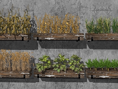 水果蔬菜 蔬菜 瓜果蔬菜 农产农田 田园菜地