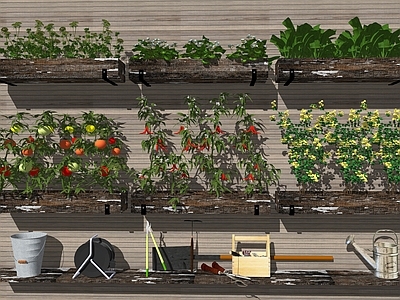 水果蔬菜 蔬菜 田园菜地 农产农田 瓜果蔬菜 农业工具