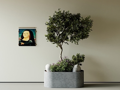 盆栽 绿植 迎客松 罗汉松 松树