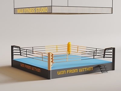 现代健身器材 现代运动器材 拳击台