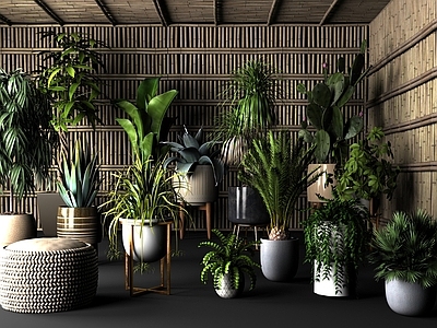 植物堆 绿植盆栽