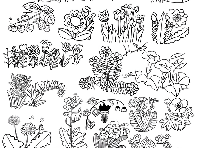 现代综合植物图库 植物立面 施工图