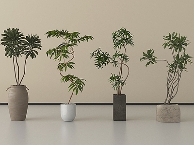 盆栽 盆栽 盆景 现代盆栽 植物盆栽 绿植