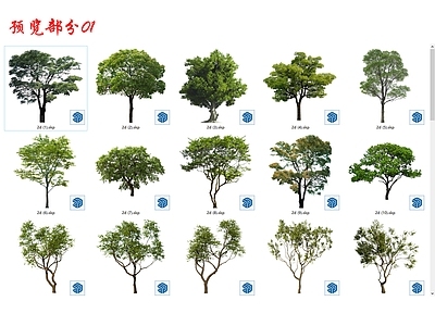 植物组合 精2d乔木48棵 自用精品 乔木组合 树池乔木 行道树