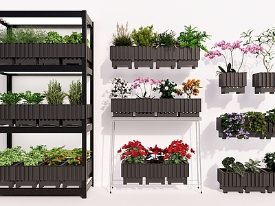 盆栽 绿植组合 绿植盆栽 庭院花园 植物花草