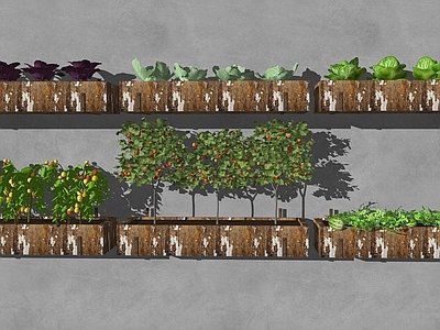 水果蔬菜 蔬菜 瓜果蔬菜 菜园农田菜地