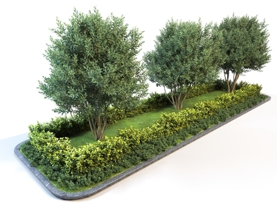 植物堆 花坛 灌木 景观植物 绿篱 小树