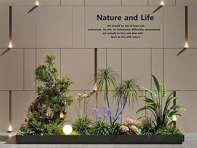 植物堆 植物景观 庭院景观 花坛花池 室内景观 植物组合