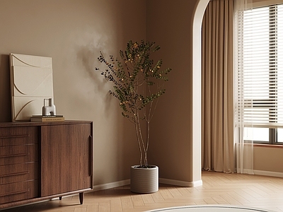 盆栽 现代绿植盆栽 盆景