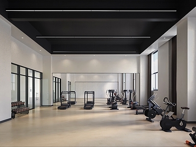 现代极简健身房 现代极简健身房 简约健身室 健身空间 休闲锻炼室 运动室