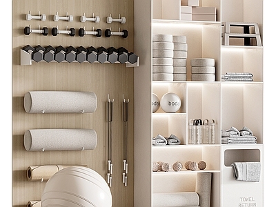 现代瑜伽室 健身柜 瑜伽柜 健身用品 瑜伽球