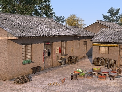 中式乡村景观 村庄