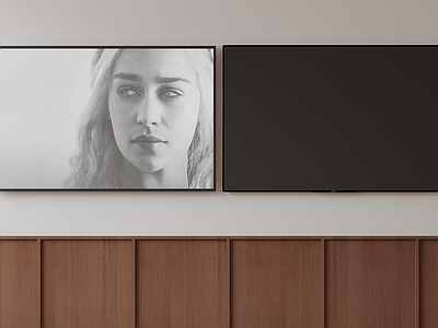 电视 电视机 移动电视 激光电视 显示屏 壁挂式电视