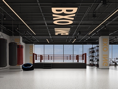 现代健身房 健身房 拳击