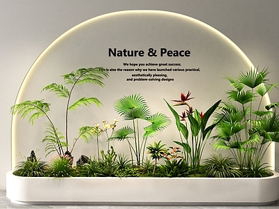 植物堆 植物景观 庭院景观 花坛花池 室内景观 绿植组合