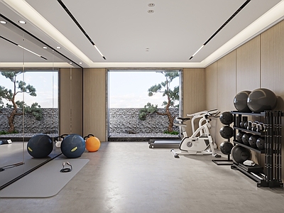 现代健身房 居家健身房 私人健身房