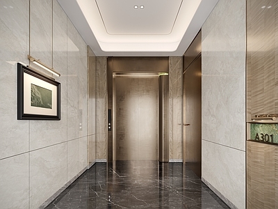 现代轻奢电梯间 电梯厅 走廊