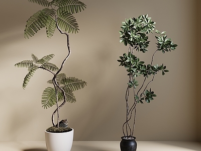 盆栽 现代绿植盆栽 中古风绿植盆栽 落地植物 禅意盆栽 室內植物