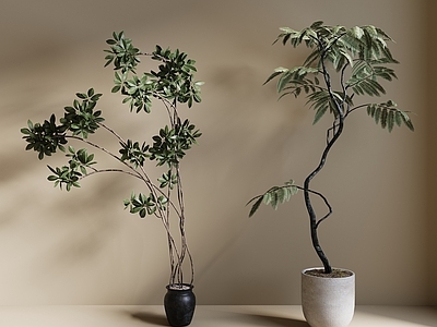 盆栽 现代绿植盆栽 中古风绿植盆栽 落地植物 禅意盆栽 室內植物