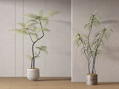 盆栽 现代绿植盆栽 中古风绿植盆栽 落地植物 禅意盆栽 室內植物