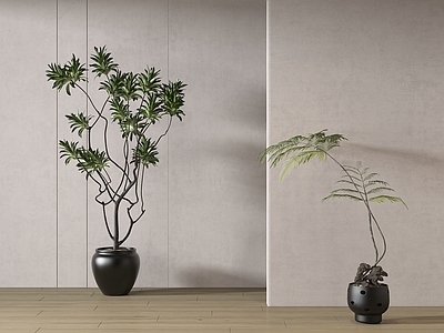 盆栽 现代绿植盆栽 中古风绿植盆栽 落地植物 禅意盆栽 室內植物