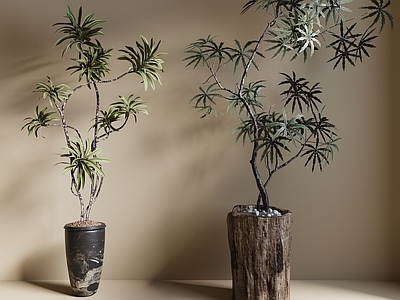 盆栽 现代绿植盆栽 中古风绿植盆栽 落地植物 禅意盆栽 室內植物