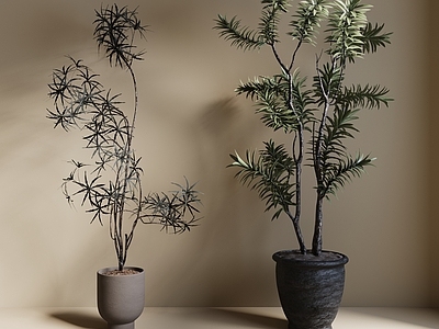 盆栽 现代绿植盆栽 中古风绿植盆栽 落地植物 禅意盆栽 室內植物