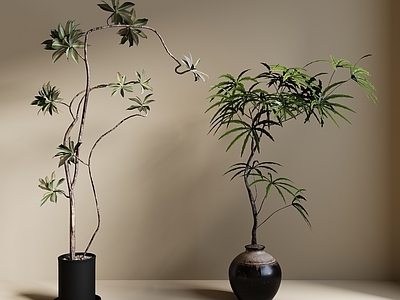 盆栽 现代绿植盆栽 中古风绿植盆栽 落地植物 禅意盆栽 室內植物