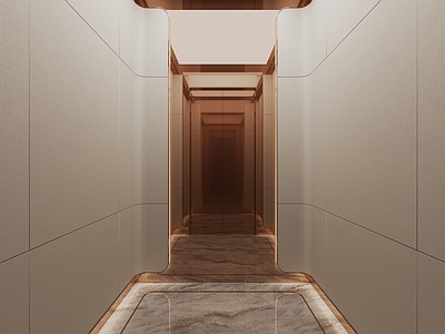 现代轻奢酒店 现代电梯轿厢